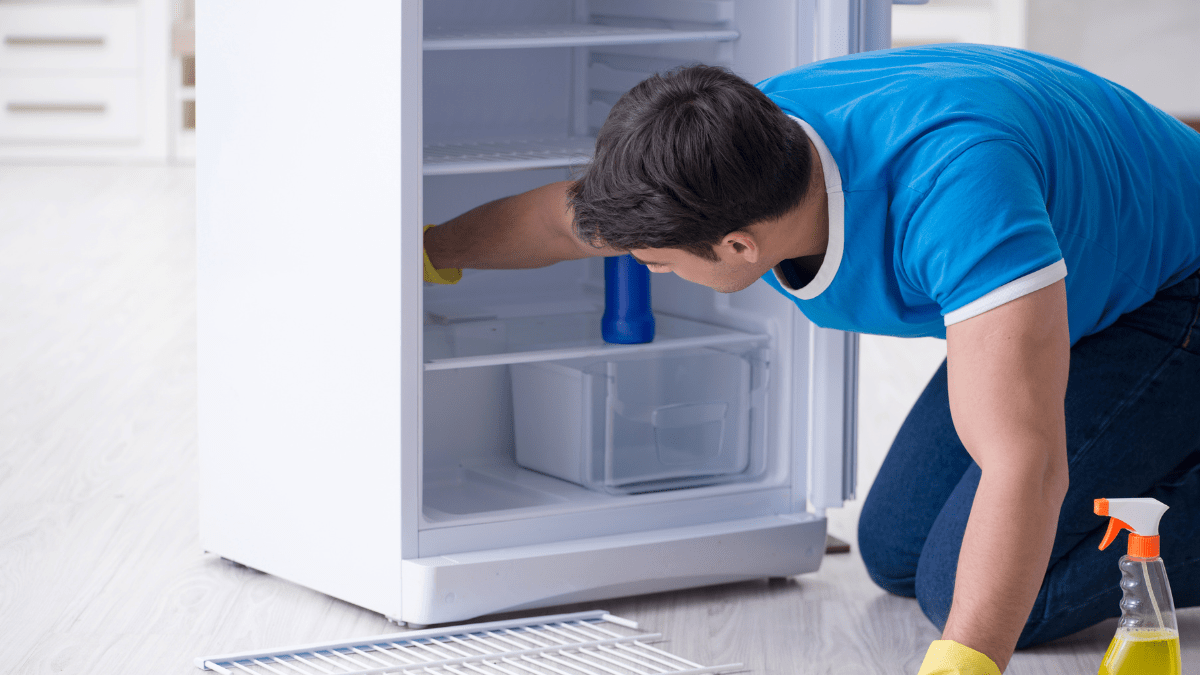 Deep Cleaning Refrigerator